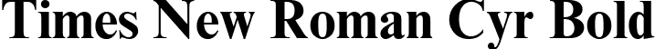 Times New Roman Cyr Bold font - times new roman bold.ttf