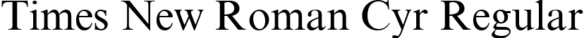 Times New Roman Cyr Regular font - times new roman.ttf