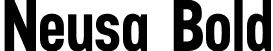 Neusa Bold font - Neusa Bold.otf