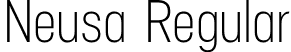 Neusa Regular font - Neusa Regular.otf