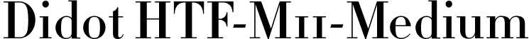 Didot HTF-M11-Medium font - Didot HTF M11 Medium.otf