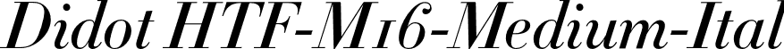 Didot HTF-M16-Medium-Ital font - Didot HTF M16 Medium Italic.otf