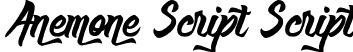 Anemone Script Script font - Anemone Script.otf