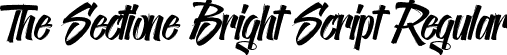 The Sectione Bright Script Regular font - zTheSectioneBright-Script.otf