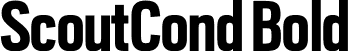 ScoutCond Bold font - ScoutCond-Bold.otf