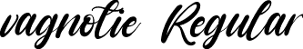 vagnotie Regular font - vagnotie.ttf