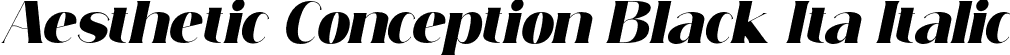 Aesthetic Conception Black Ita Italic font - Simply Conception Black Italic.otf