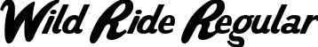 Wild Ride Regular font - WildRide.ttf