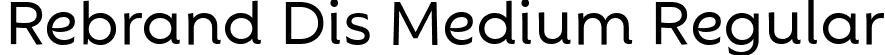 Rebrand Dis Medium Regular font - Rebrand Dis Medium.ttf