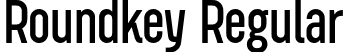 Roundkey Regular font - Roundkey Regular.otf