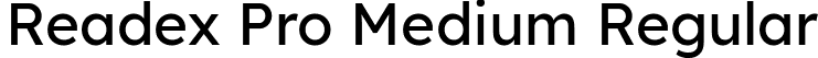 Readex Pro Medium Regular font - ReadexPro-Medium.ttf