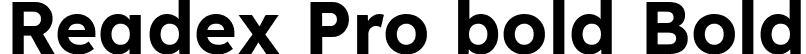 Readex Pro bold Bold font - ReadexPro-bold.ttf