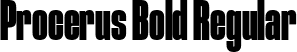 Procerus Bold Regular font - Procerus Bold.ttf