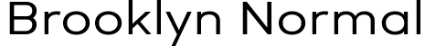 Brooklyn Normal font - Brooklyn Normal 1.ttf