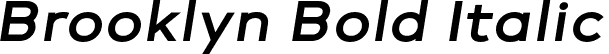 Brooklyn Bold Italic font - Brooklyn BoldItalic.otf