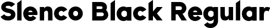 Slenco Black Regular font - SlencoBlack-d9lyR.otf