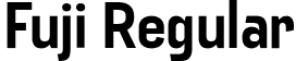 Fuji Regular font - Fuji-Regular.otf