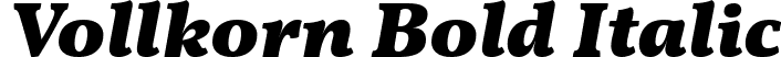 Vollkorn Bold Italic font - Vollkorn-BoldItalic.ttf