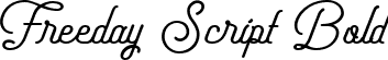 Freeday Script Bold font - FreedayScript-Bold.ttf