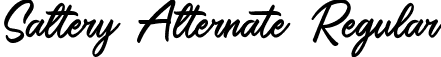 Saltery Alternate Regular font - Saltery Alternate.ttf