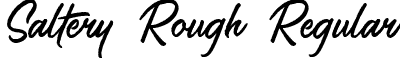 Saltery Rough Regular font - Saltery Regular Rough.ttf