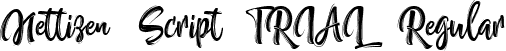 Nettizen Script_TRIAL Regular font - Nettizen_TRIAL.ttf