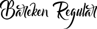 Bareken Regular font - Bareken.ttf