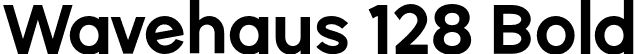 Wavehaus 128 Bold font - Wavehaus-128Bold.otf