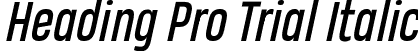 Heading Pro Trial Italic font - Heading-Pro-Italic-trial.ttf