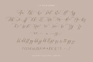 Hallmarks - Beautiful Calligraphy font