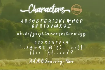 Dream Meadow Font