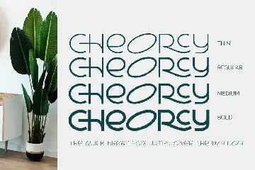 Cheorcy font