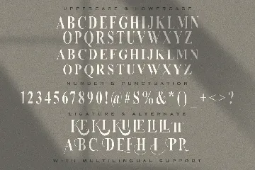 Serizawa - Classic Serif Font