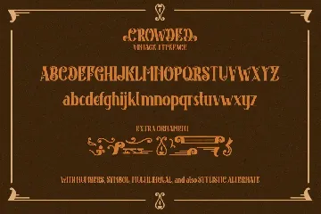 Crowded Vintage Font