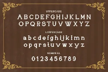 Baker's Dozen - Vintage Serif font