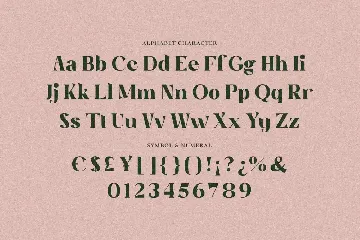 Bolle Roteid - Aesthetic Bold Serif font