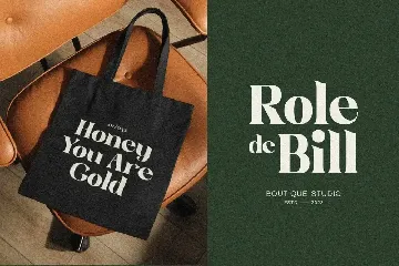 Bolle Roteid - Aesthetic Bold Serif font