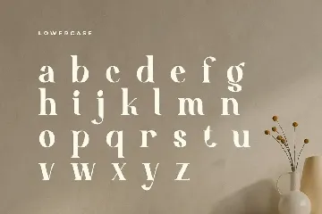 Bandung - Beauty Vintage Ligature Font