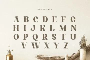 Bandung - Beauty Vintage Ligature Font