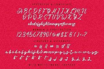 Angilla Denis - Brush Script Font