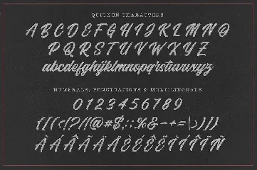 Quicken font