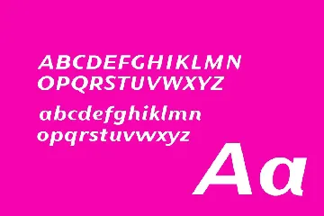 Magnetico Italic Sans font