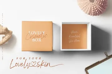 Pretty Queen - Chic Brush Font