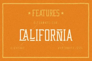 Western Wildler Slab Vintage font