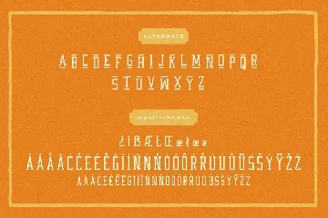 Western Wildler Slab Vintage font