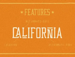 Western Wildler Slab Vintage font