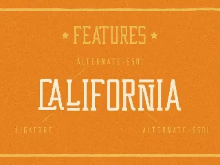 Western Wildler Slab Vintage font