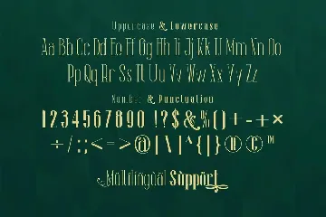 The Lingke Stylish Modern Serif Font