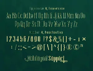 The Lingke Stylish Modern Serif Font