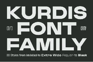 Kurdis logo Font Family (30 Styles)